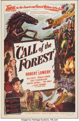 Rare 16mm Feature: Call Of The Forest (robert Lowery) Public Domain / Wildlife