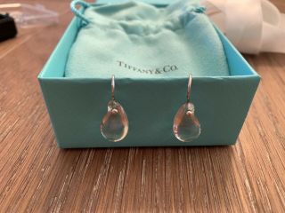 Tiffany & Co Elsa Peretti Platinum Rock Crystal Teardrop Hook Earrings Rare