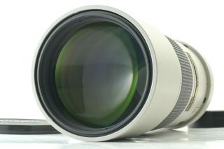 【 Rare Light Grey,  】 Nikon Af - S Nikkor 300mm F/4 D Ed If From Japan 078
