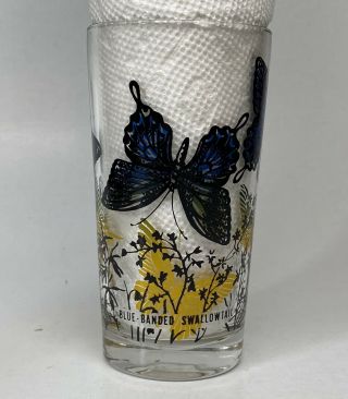 Rare Butterfly Peanut Butter Glass Tumbler Blue Banded Swallowtail Boscul 50’s