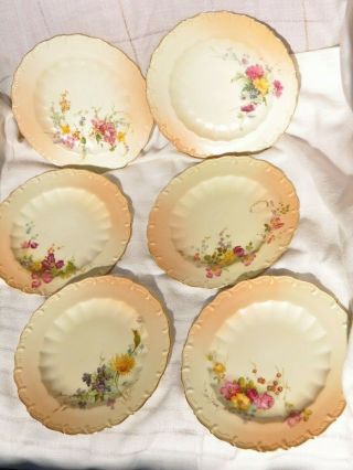 Rare Set Of 6 Royal Worcester England Flower Plates 8 In.  1588,  Ra No 190547