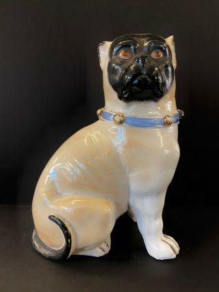 Rare Large Antique Porcelian Staffordshire Pug Dog Figurine 19th C 1800s