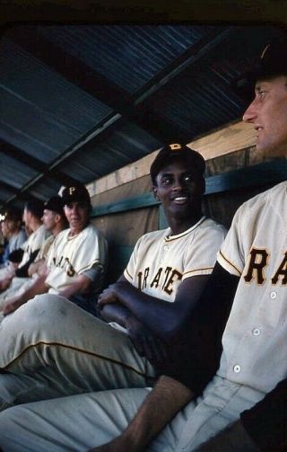 Rare 1950’s Slide Transparency Roberto Clemente Young Buc In Color
