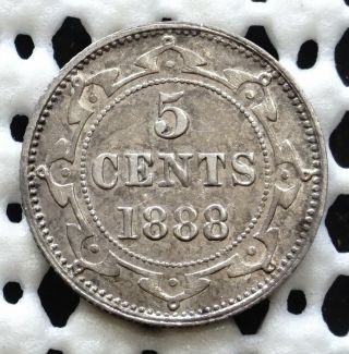 1888 Newfoundland Canada Silver Five Cent Coin ♛ Queen Victoria ♛ Rare Lustre
