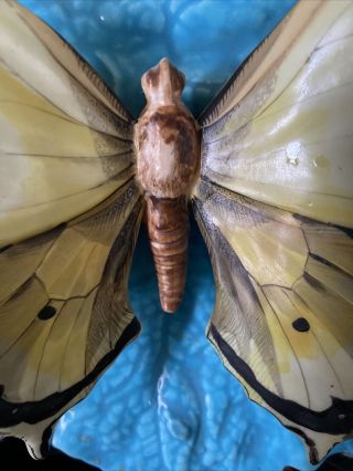 Rare Majolica Trompe l’Oeil Butterfly,  Leaf Plaque,  Plate 5