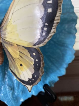 Rare Majolica Trompe l’Oeil Butterfly,  Leaf Plaque,  Plate 6