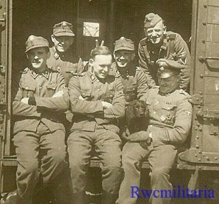 Rare Veteran German Elite Waffen Officers & Soldiers On Railway Car W/ Dog