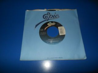 Rare Record 45 Rpm The Wonders / That Thing You Do On Epic Records