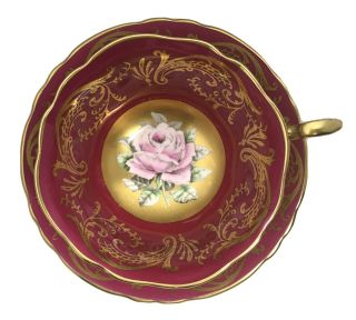 Rare Paragon Cup And Saucer Huge Cabbage Rose Floating In Gold A1793 Warrant