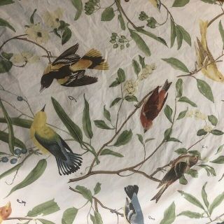 Pottery Barn King Duvet Cover/2 Pillowcase Spring Sparrow Birds/white Rare