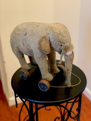 Antique Pre - 1910 Steiff Elephant Pull Toy.  Very Rare & Special.  W/ Makers Mark