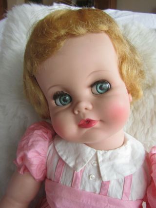 Vntg Rare Madame Alexander Baby Genius Doll - 20 " - 1960 - Tagged All Outfit