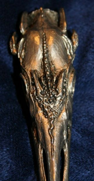 Rare AXEL STOCKS Egret Skull Ring - Size 10 4