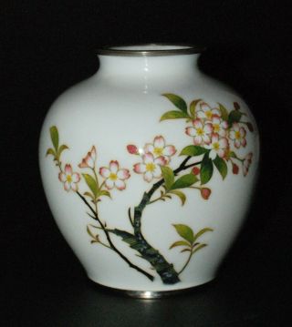 Rare White Japanese Cloisonne Enamel Vase With Cherry Blossoms By Sato