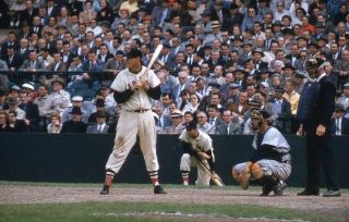 Rare 1950’s Slide Transparency Ted Williams Red Sox At Bat In Color