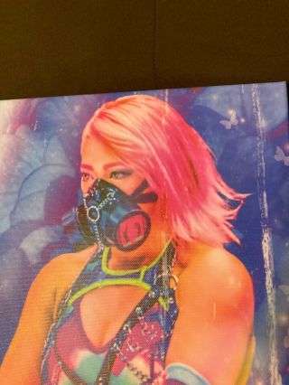 Hana Kimura Stardom Wrestling Canvas Art 16”x 20” Rare Artwork 2
