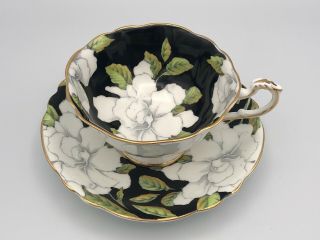 Rare Paragon White Gardenia Tea Cup & Saucer Double Warrant