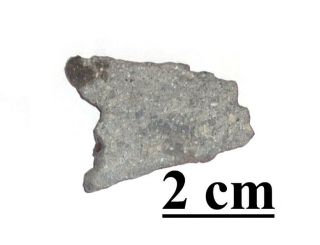 Rare Calama 082 Achondrite Polymict Diogenite Meteorite,  Slice,  2.  84 Grams