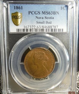 1861 Canada - Nova Scotia 1c,  Small Bud,  Pcgs Ms63 Bn - Highly Valued Rare Coin
