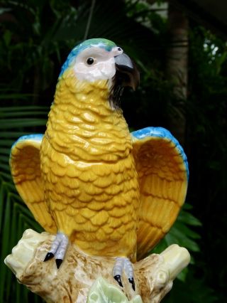 Rare Large 19c Dresden Sitzendorf Porcelain Macaw Blue Hyacinth Parrot Figure