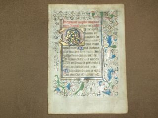 Rare Illuminated Medieval Manuscript Vellum Boh Leaf W/ Bird Miniature,  C.  1460
