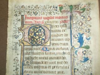 RARE Illuminated Medieval Manuscript Vellum BOH Leaf w/ Bird Miniature,  c.  1460 2