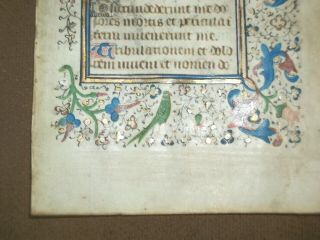 RARE Illuminated Medieval Manuscript Vellum BOH Leaf w/ Bird Miniature,  c.  1460 3