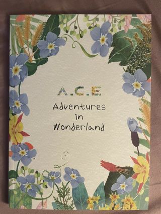 A.  C.  E Adventures In Wonderland Cd Rare Day Version Standee No Photo Card