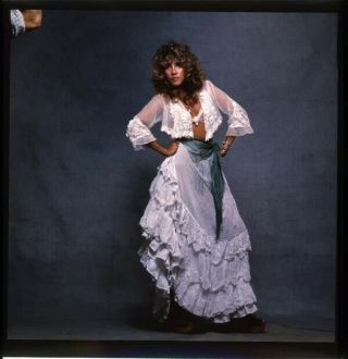 Stevie Nicks Sexy Exotic Glamour Pin Up Photo Shoot Rare Transparency