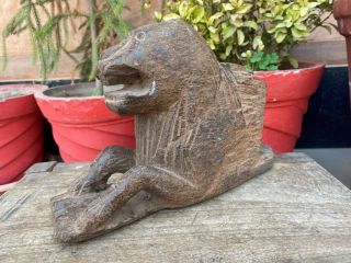 1800’s Ancient Old Wooden Fine Hand Carved Sitting Lion Figure Figurine Rare 2