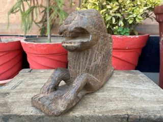 1800’s Ancient Old Wooden Fine Hand Carved Sitting Lion Figure Figurine Rare 4