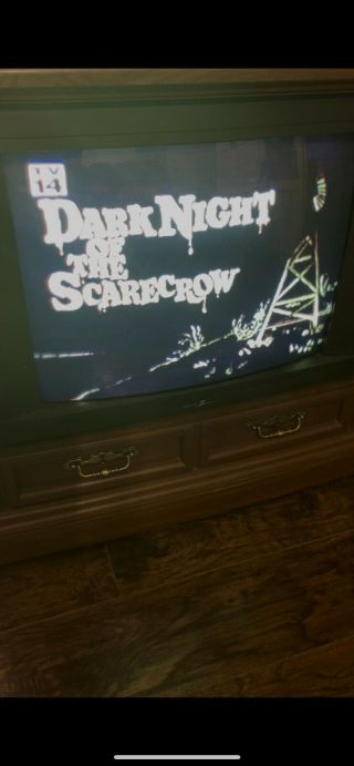 Dark Night Of Scarecrow Phantasm 2 Cujo Rare Horror As Blank Vhs Wgn Tnt Tv