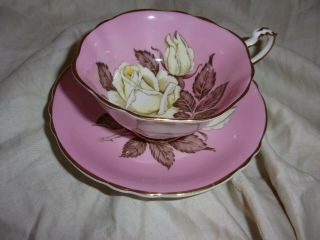 Vintage Antique Paragon Pink White Cabbage Rose Tea Cup And Saucer Rare Estate