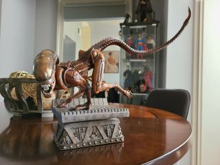 Sideshow Collectibles Dog Alien 3 Statue 1/5 Scale Rare Predator