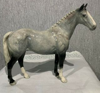 Beswick Horse Grey Roan Hunter Gloss Model H 260 Perfect Very Rare Boxed (a)