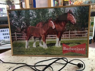 Rare 1950’s Budweiser Beer Clydesdale Horses Back Bar Lighted Advertising Sign