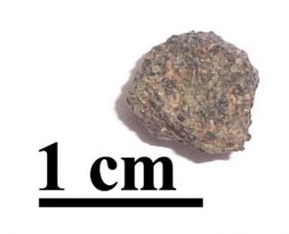 Rare Nwa 10720 Nakhlite Martian Meteorite,  Fragment,  0.  56 Grams