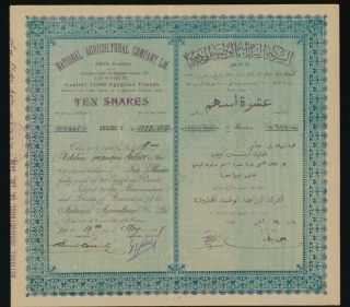 Judaica Palestine Rare Old Decorated Share Certificate National Agricultural Co.