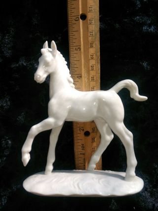 Nymphenburg Ultra Rare Horse Foal Porcelain White Figurine Exc Cond.  5 " Tall