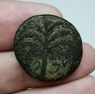 Rare Judaea Simon Bar Kochba Revolt.  132 - 135 A.  D.  Middle Bronze Coin 22mm10,  41gr