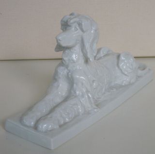 Rare Meissen Porcelain Afghan Hound Dog Figurine Greyhound E.  Richter 78766