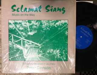 Peter Davison Music On The Way Lp Rare Private Press Age Minimal Synth Nm -