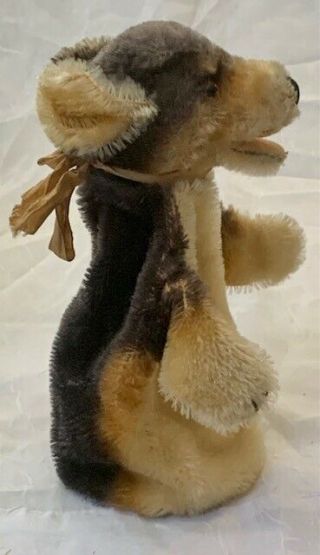 RARE Vintage Germany Steiff Mohair Dog Puppet with Button - 1950 ' s 3