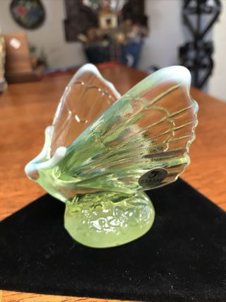 Rare Vintage Fenton Art Glass Vaseline Butterfly Crystal/opalescent Signed