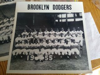 Rare 1955 Brooklyn Dodgers 12 " X12 " Team Photo Jackie Robinson Duke