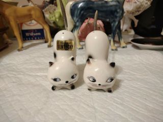 Rare Norcrest Pottery Kitty Cat Wire Spring Tails Salt & Pepper Set No Damage