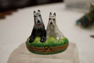 Vintage Limoges France Peint Main Schauzers Dogs Trinket Box Marque Deposee Rare