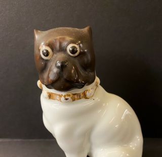 Rare Antique Porcelian Staffordshire Pug Dog Figurine 19th C 1800s