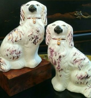 Timeless Rare Pair English Porcelain Staffordshire Spaniel Mantle Wally Fox Dogs