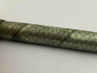 Gorgeous Rare Swan,  Gray & Green Snakeskin,  Semi Flex,  14k Oblique B Nib - T6